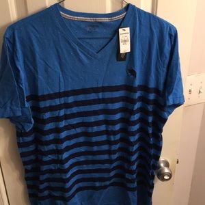 Express blue v-neck shirt